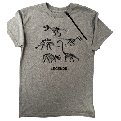 Dinosaurs | Youth Port Access Shirt