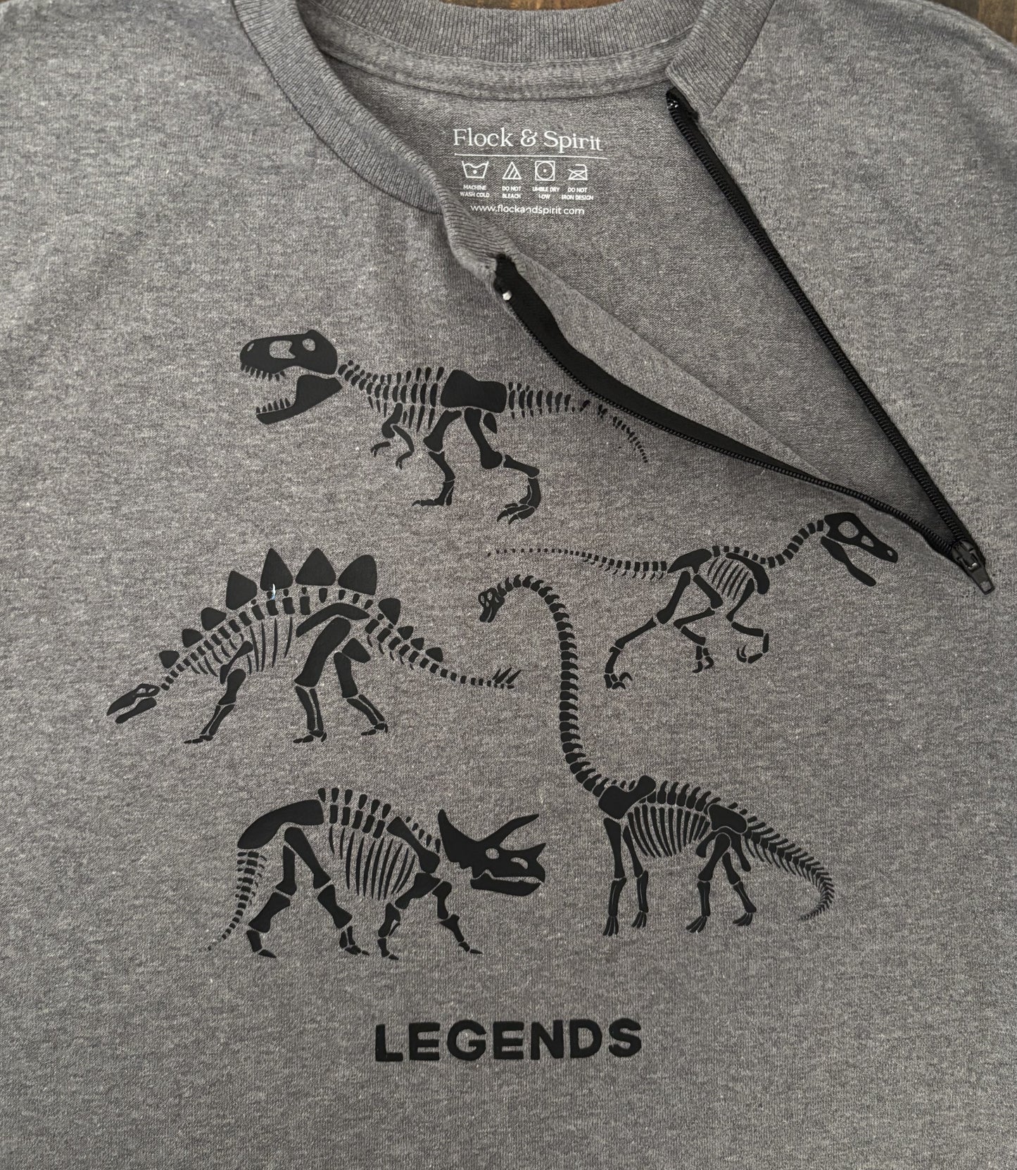 Dinosaurs | Youth Port Access Shirt